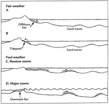 <img typeof="foaf:Image" src="http://statelibrarync.org/learnnc/sites/default/files/images/sand_exchange_diagram.jpg" width="500" height="478" alt="Diagram of sand exchange" title="Diagram of sand exchange" />