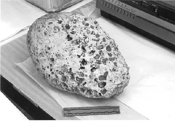 Ballast stone thrown from the vessels of Amadas & Barlowe at Roanoke Island, 1584.