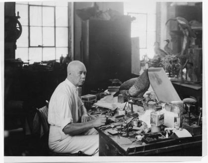 Herbert Hutchinson Brimley, a founder of the Academy of Science, working in the Museum of Natural History, ca. 1937. Image courtesy of the State Archives of North Carolina. 