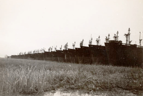Mothball Fleet of Liberty ships near Wilmington, N.C., 1949. Image from the New Hanover County Public Library.