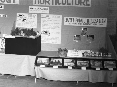 Farm and Home Week Agricultural Exhibit, ca.1947. Courtesy of North Carolina Cooperative Extension Service, NCSU University Archives Photographs.
