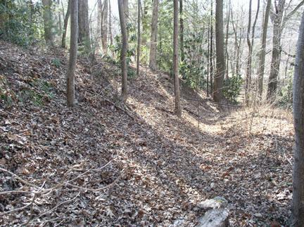Site of Battle of Asheville. A forest setting with sun shining through the forest canopy. A gulley divides the setting into two hills. 