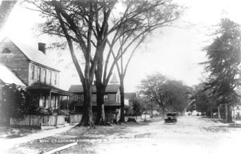 Main Street in Bath, Facing South, Thomas R. Draper Photos, early 20th century. Image courtesy of NC Historic Sites. 