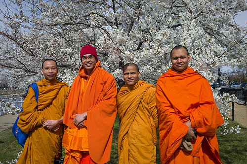 "Four Buddhist monks, who live in North Carolina, photograph each other among the cherry trees. The men are originally from Thailand." Image courtesy of Flickr user U.S. Embassy Tokyo. 