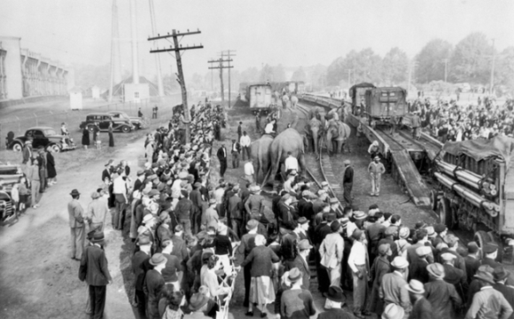 Arrival of the Barnum & Bailey Circus train at Durham, 1940. North Carolina Collection, University of North Carolina at Chapel Hill Library. Courtesy of J. Marvin Black.