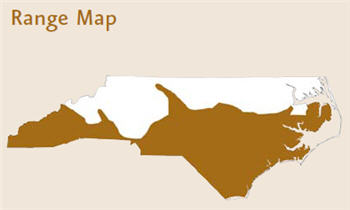 Map of NC with the words "Range Map" and dark tan shading on the southern portion of the state.