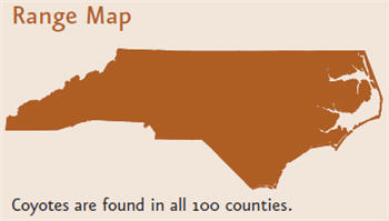 Map of North Carolina titled "Range Map" with the entire state shaded. Text on bottom reads "coyotes are found in all 100 counties."