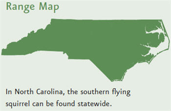 Map of North Carolina labeled "Range Map." The entire state is shaded and it says, "In North Carolina, the southern flying squirrel can be found statewide."