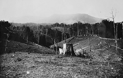 First Views of Humpback, sept 19, 1908, near old corner tree Bicknell Photograph Collection, North Carolina State Archives, call #:  PhC8_78, Raleigh, NC.