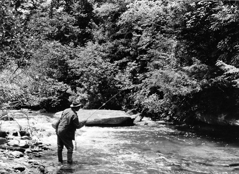 Fishing in stream in Pisgah National Forest, no date, unidentified fisherman. From Carolina Power and Light (CP&L) Photograph Collection, North Carolina State Archives, call #: PhC68_1_539. 