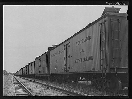 "Freight cars at Camden, North Carolina, grading station. All along the line are potatoes being loaded ." Created by Jack Delano, 1940. 
