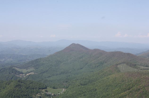 Photograph of Elk Knob peak, North Carolina. By James Lautzenhelser, 2011.  From Flickr. Used under Creative Commons License CC BY-ND 2.0.