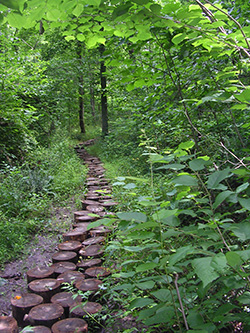 Trail in the woods, Haw River State Park, April 28, 2001. From the collection of North Carolina State Parks.