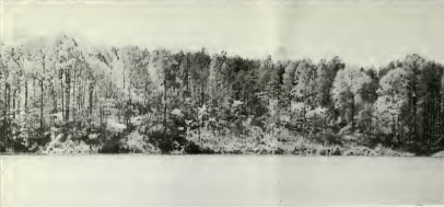 Photograph of Lake Norman, ca. early 1960s. From <i>North Carolina State Parks</i>, 1965, NC Division of Parks and Recreation.