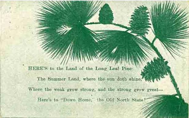 Image of postcard with excerpt from Leonora Monteiro Martin's poem "The Old North State," with drawing of green pine branch, 1908. Item H.1953.38.150 from the collection of the North Carolina Museum of History.  Used courtesy of the North Carolina Department of Natural and Cultural Resources.