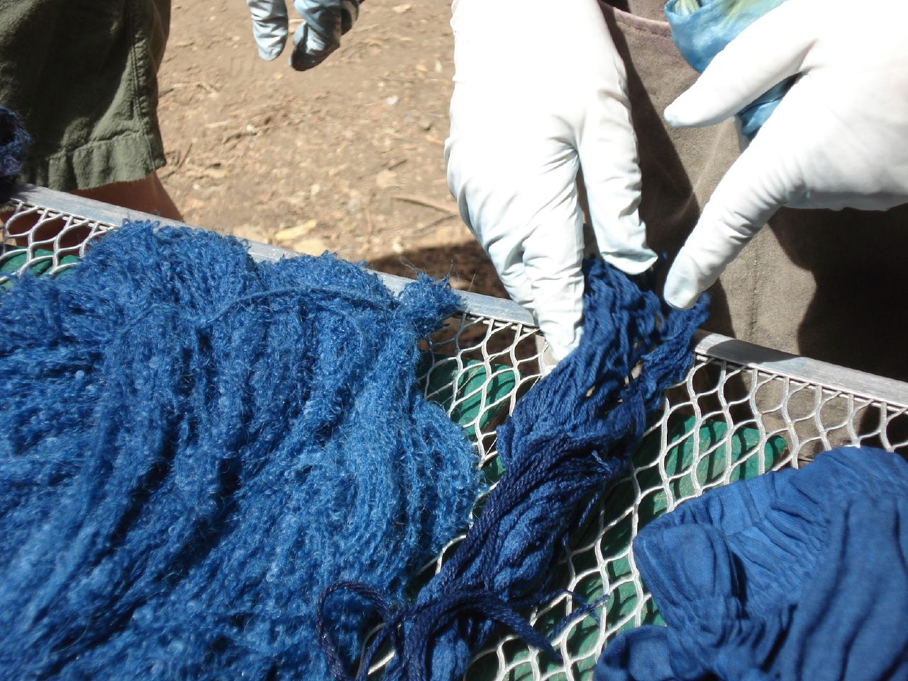 The dye of indigo plant is blue, as can be seen here on this dyed wool.