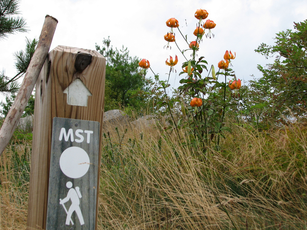A wooden trail marker labeled MST shows the way on the Mountains-to-Sea Trail
