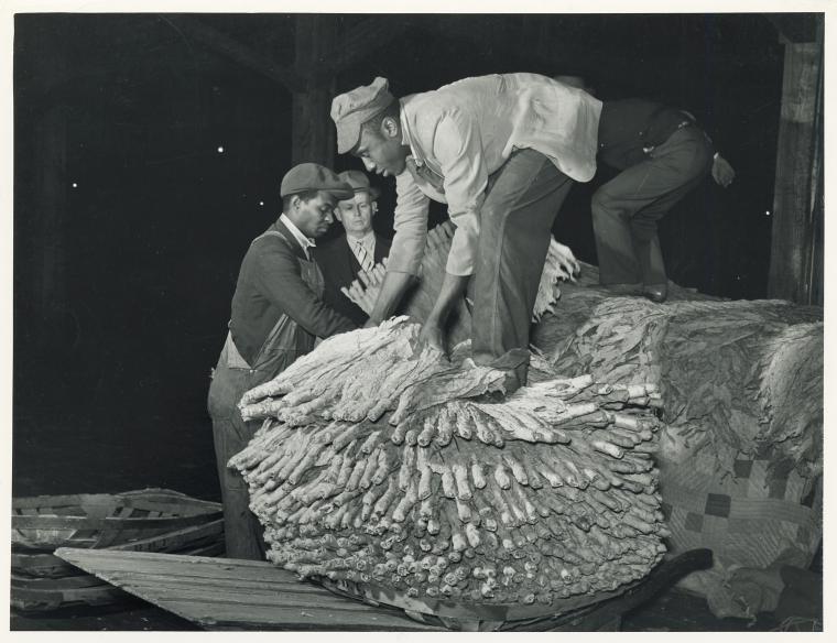 Image of workers unloading tobacco in Durham in 1939