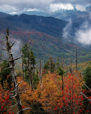 The Great Smoky Mountains National Park - from Flickr user rskoon
