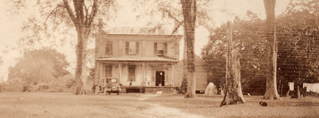 Photograph of Mulberry Grove, circa-1920-1940. Image from the State Library of North Carolina.