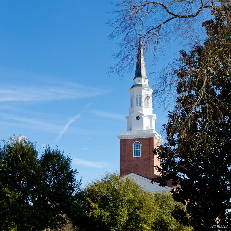 A large steeple extends over a treeline with a blue sky in the background.