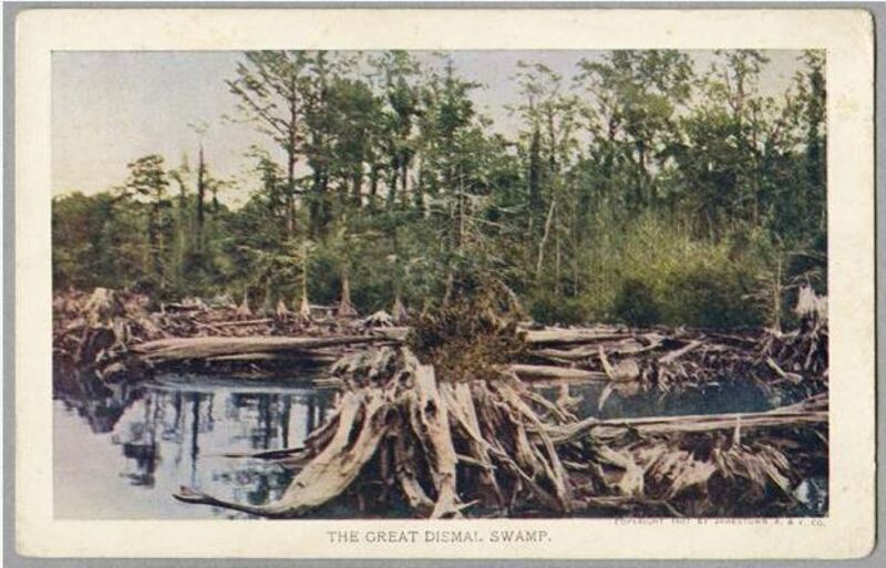 Article about the Great Dismal Swamp which discusses it's importance to freedom seeking enslaved people