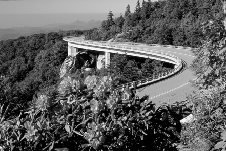 Linn Cove Viaduct on the Blue Ridge Parkway at Grandfather Mountain. Photograph courtesy of North Carolina Division of Tourism, Film, and Sports Development.