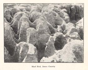 Marl Beds, Jones County. Image courtesy of DocSouth, UNC Libraries.