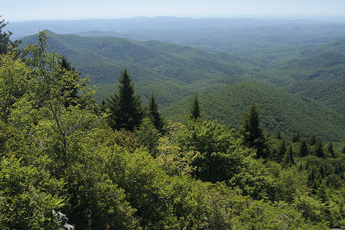 "At 5720 feet overlooking tthe Nantahala National Forest from Devil's Courthouse."Image courtesy of Janet Tarbox.