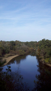"Neuse River Cliffs of the Neuse." The Coree Indians Lived along the Neuse. Photo courtesy of Flickr user bobistraveling, uploaded October 30, 2010.