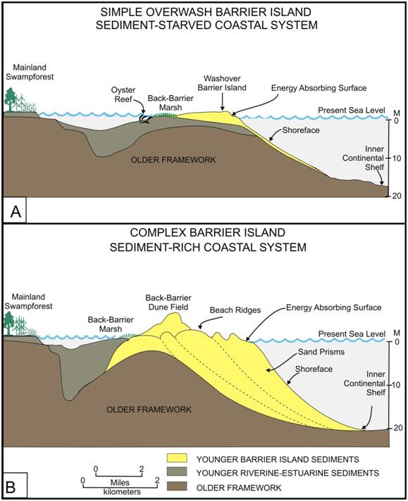 Cross Section Diagrams Of Simple And Complex Barrier Islands NCpedia   1 13 