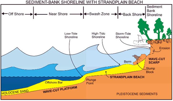 Schematic model of a sediment-shoreline | NCpedia