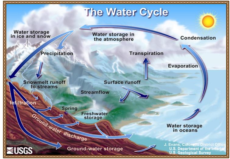 Diagram of the water cycle | NCpedia