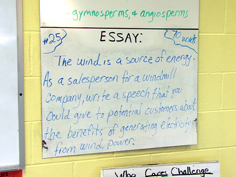 common assignment essay