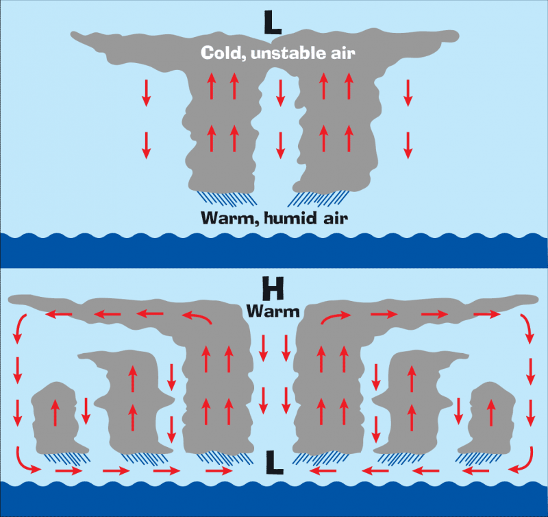 Describe In Detail How A Hurricane Forms