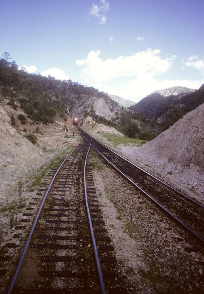 Two Train Tracks Merge In Chihuahua, Mexico 