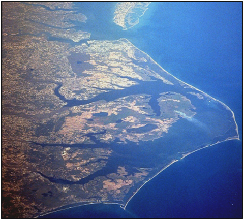 Satellite image of riverine systems of coastal North Carolina