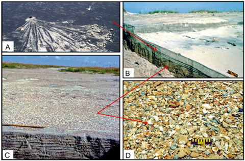 Series of photographs showing different beach materials