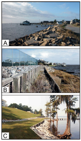 Hardened structures along sediment-bank estuarine shorelines 