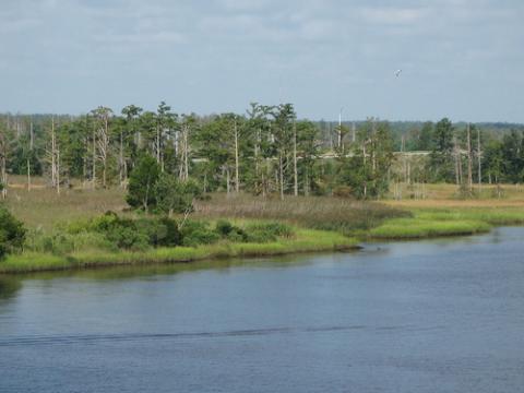 Cape Fear River