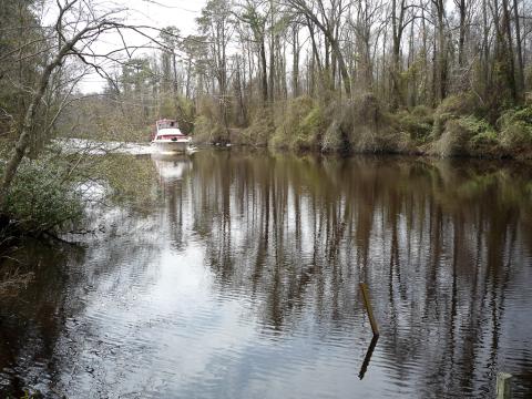 Dismal Swamp Canal