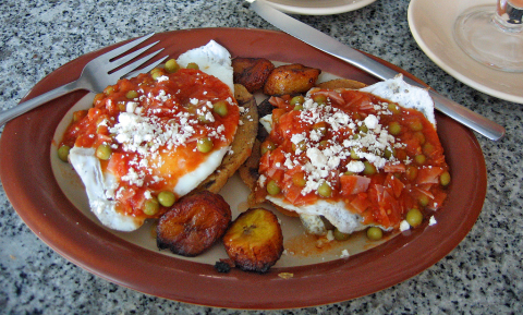 Huevos motuleños