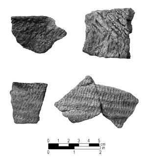 Badin pottery fragments