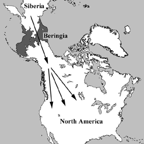 Beringia