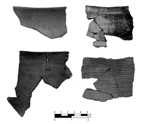 Connestee pottery fragments