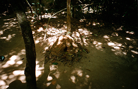 Air vent to Cu Chi tunnels