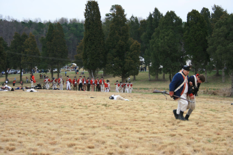 Helping the wounded