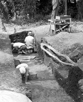 Excavations at the Hardaway site