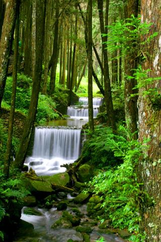 Alishan waterfall