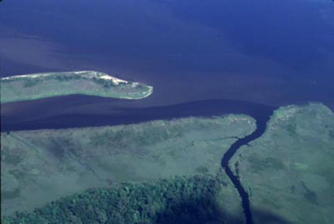 Allen Creek input to the Cape Fear River